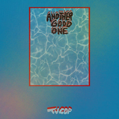 TV Cop: Another Good One