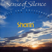 Sense Of Silence
