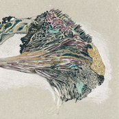 Perl​é​e De Sè​ve