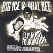 Big Ice And Oral Bee Presentes