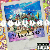 Welcome to waveland