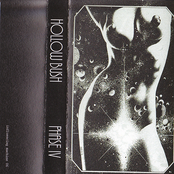 Phase IV