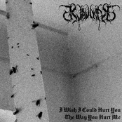 I Wish I Could Hurt You the Way You Hurt Me - Single