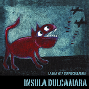 La Mia Vita Su Piccoli Aerei