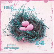 (Various) FOEM Electronic Youth Vol. 14