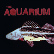 The Aquarium: The Aquarium