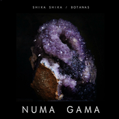 Shika Shika / Botanas, Vol. 16