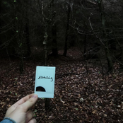 Noise/Forrest
