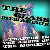 ...Trapped in the Amber of the Moment