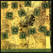 Lucky by Association