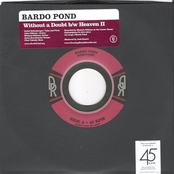 Without A Doubt by Bardo Pond