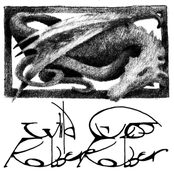 Robber Robber: Wild Guess