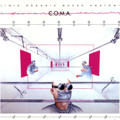 Clinik Organik Muzak Anatomik