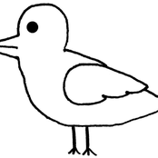 Montague: No Nu Rave Demo