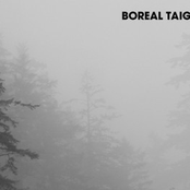 boreal taiga