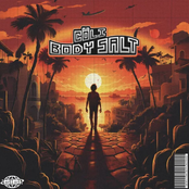 Body Salt