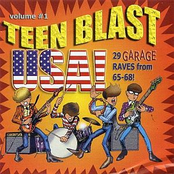 Teen Blast Usa! Vol 1