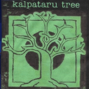 Spirit Calling by Kalpataru Tree