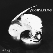 Doug.: Flowering