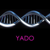 yado