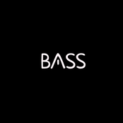 Bass