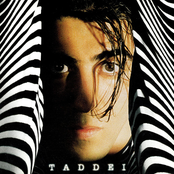 Cebras, nácar y rubí