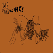 many tracks + dbeating up reactionaries