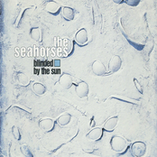 Moving On by The Seahorses