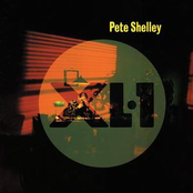 Twilight by Pete Shelley