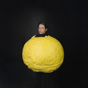 A DAY AROUND THE SUN