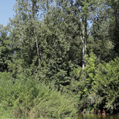 Où les observer, savoir les reconnaître