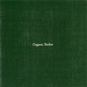 Organic Shelter