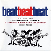 Beat, Beat, Beat! Volume 1: The Mersey Sound & Other Mop Top Rarities 1962-63