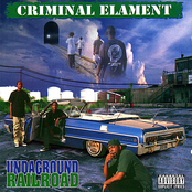 Life by Criminal Elament