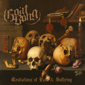 Exultations of Pain & Suffering