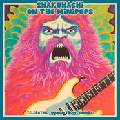 Telepathic Waves from Sahara [Explicit]
