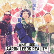 Aaron Lebos Reality: What I See