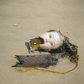 He's Very Good at Swimming