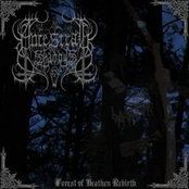 FOREST OF HEATHEN REBIRTH - Demo 2011