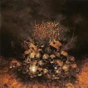 Blood On My Hands by Brutal Rebirth
