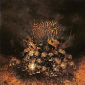 Blood Death Punishment by Brutal Rebirth