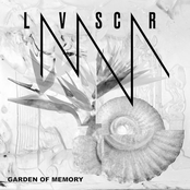 Garden of Memory