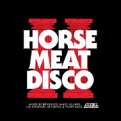 Horse Meat Disco II