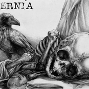 ernia demo 2014