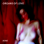 Bone by Organs Of Love