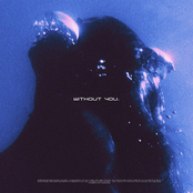 Without You