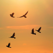 Ahead Of Myself (Demo)