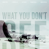 "WHAT YOU DON'T SEE" Original Score
