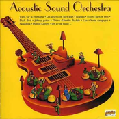 acoustic sound orchestra