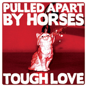 Pulled Apart By Horses: Tough Love